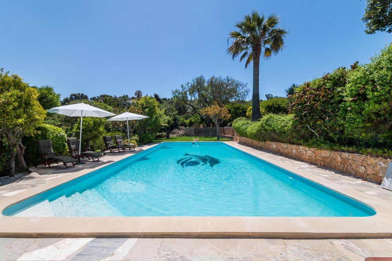 Quinta Das Portelas Apartment Lagos Ngoại thất bức ảnh